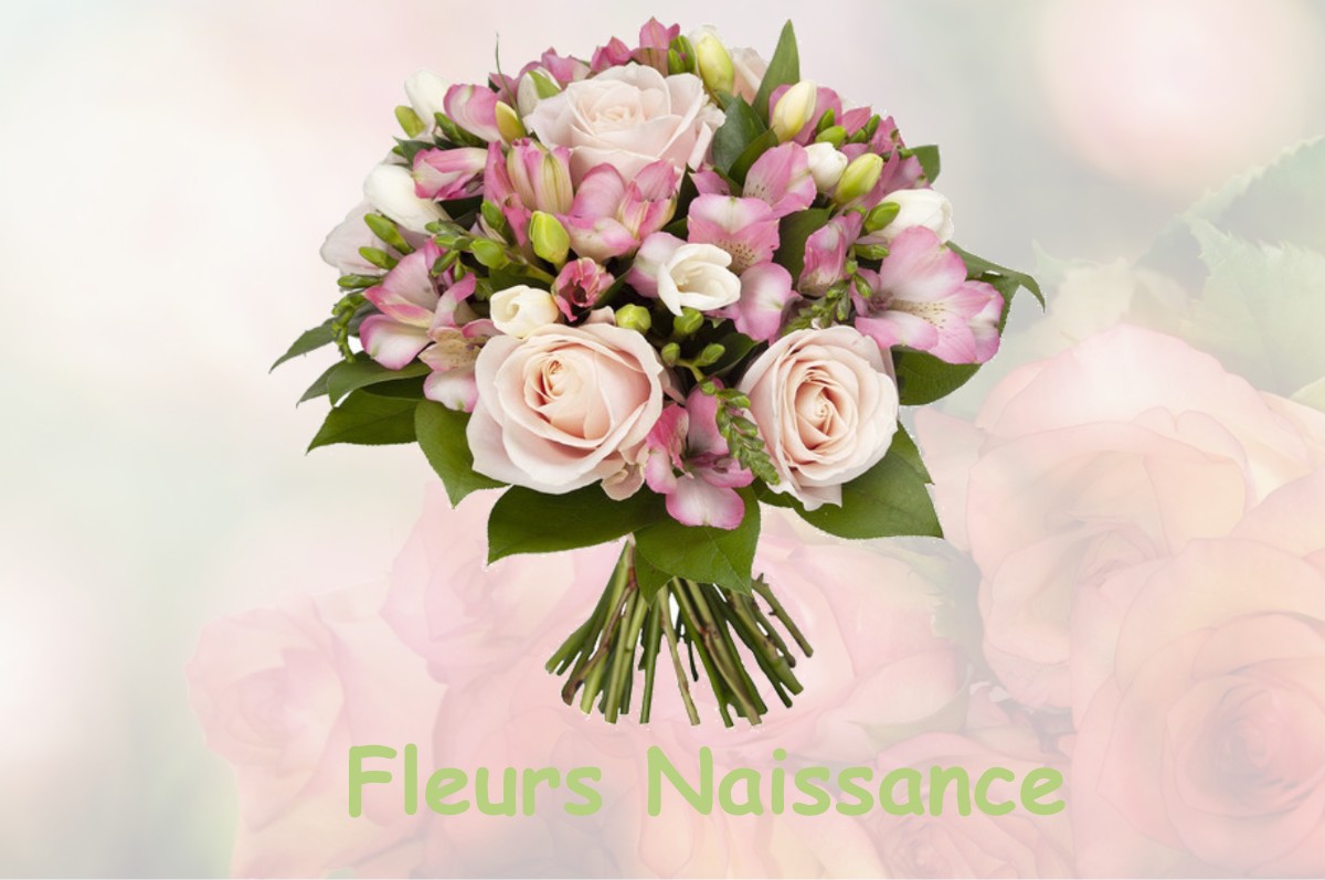 fleurs naissance BAVERANS