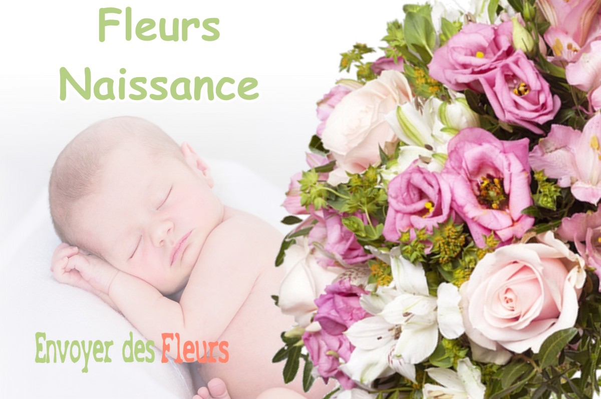 lIVRAISON FLEURS NAISSANCE à BAVERANS